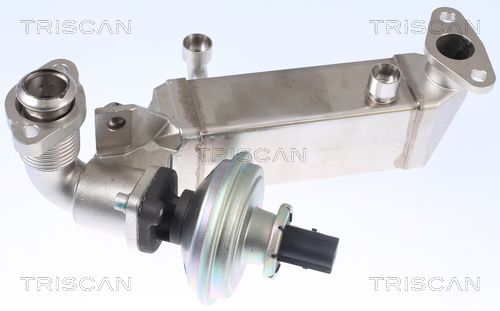 11717800653TS 8813 11009 EGR Valve