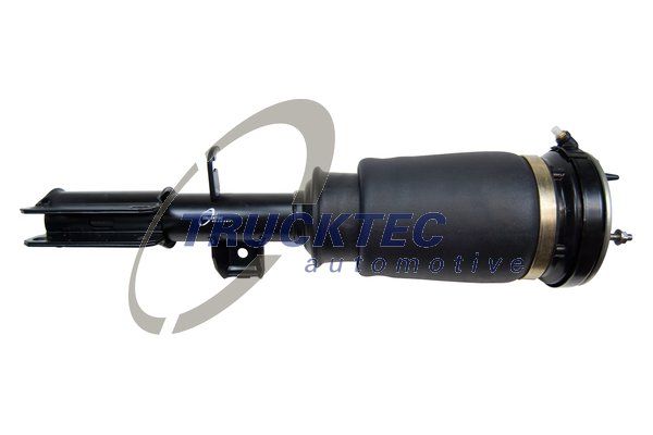37116757502TA 08.30.038 Air Suspension Strut