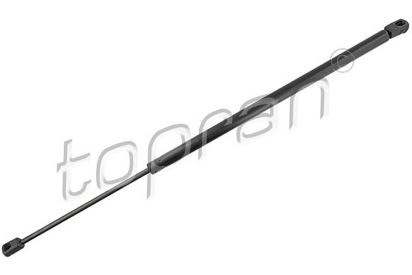 51243400379TR 501 809 Gas Spring, boot/cargo area