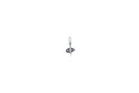 63217160777BO9 63217160777 63 21 7 160 777 7160777 1 987 301 005 BMW 89V2 -  Bulb, headlight