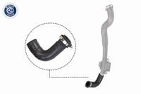 11811141889V 11811141889 11 81 1 141 889 1141889 V20-1031  Mounting, engine