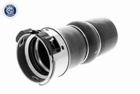 22116777371V 22116777371 22 11 6 777 371 6777371 V20-4345 BMW F11 -  Mounting, engine