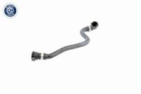 61131372033V 61131372033 61 13 1 372 033 1372033 V20-1458 BMW 59C3 -  Nut