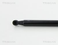 51247239871TS 51247239871 51 24 7 239 871 7239871 8710 11294 BMW F21 -  Gas Spring, boot/cargo area