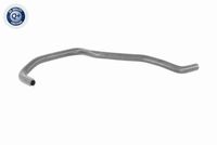 11537519494V 11537519494 11 53 7 519 494 7519494 V20-3730 BMW Z4 (E85) -  Radiator Hose